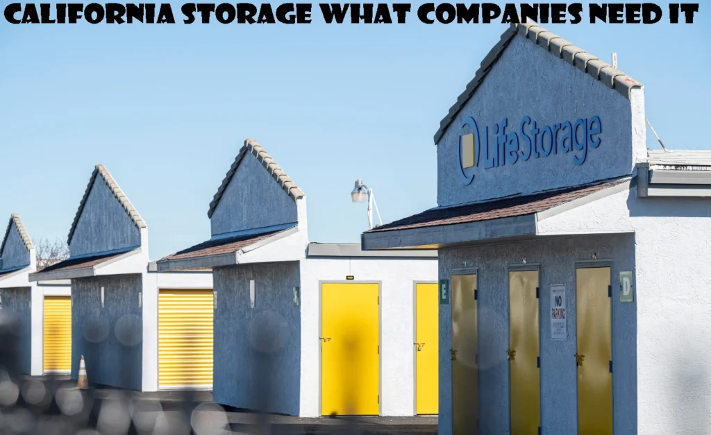 California Storage What Companies Need It