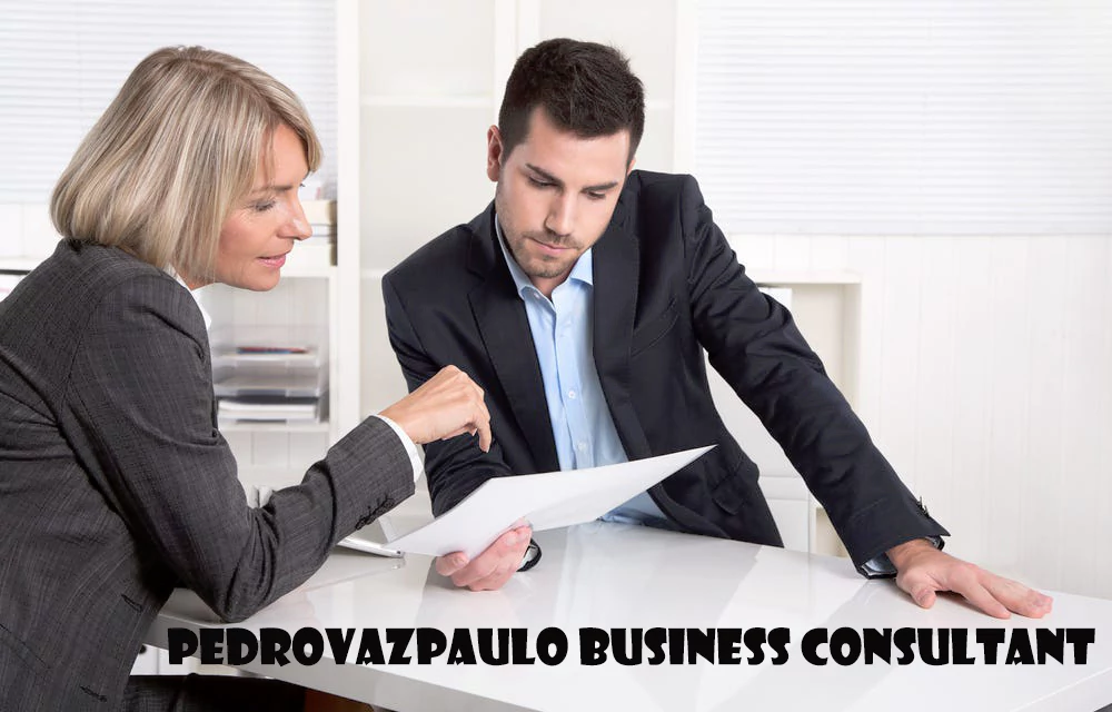 Pedrovazpaulo Business Consultant