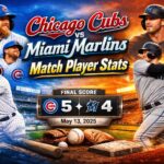 Miami Dolphins vs Texans Match Player Stats