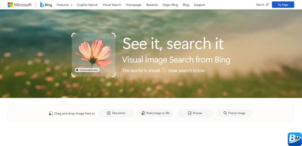Image Search Techniques