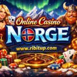 Bitcoin Casino aussie24crypto.com: Understanding Crypto Casino Features and Promotions